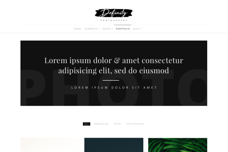 Definity WordPress theme | Photographer Demo